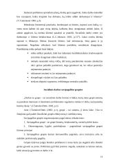 Įstaigos veikla: VŠĮ Rokiškio psichiatrijos ligoninė 12 puslapis