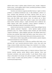 Įstaigos veikla: VŠĮ Rokiškio psichiatrijos ligoninė 16 puslapis