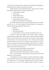 Įstaigos veikla: VŠĮ Rokiškio psichiatrijos ligoninė 18 puslapis