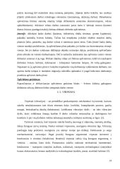 Statybose dirbančių asmenų darbo sąlygų įvertinimas 13 puslapis