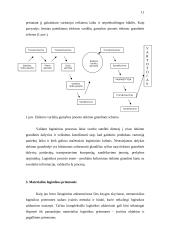 Transporto rūšys 11 puslapis
