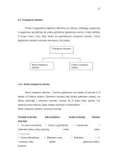 Transporto rūšys 12 puslapis