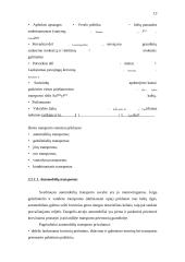 Transporto rūšys 13 puslapis