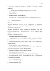 Transporto rūšys 16 puslapis