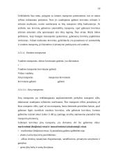 Transporto rūšys 18 puslapis