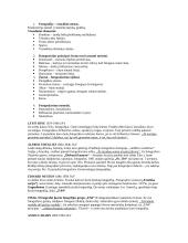 Fotografijos istorija ir teorija 2 puslapis