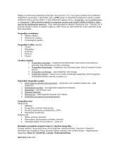 Fotografijos istorija ir teorija 3 puslapis