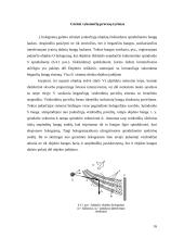 Holografija 16 puslapis