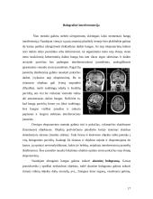 Holografija 17 puslapis