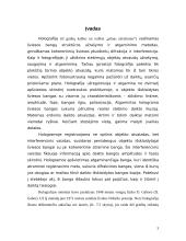 Holografija 3 puslapis