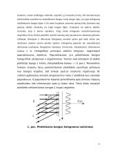 Holografija 6 puslapis