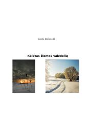 Fotografija. "Žiemos vaizdai" 8 puslapis