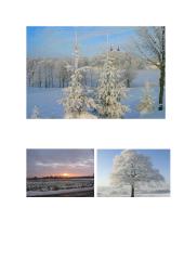 Fotografija. "Žiemos vaizdai" 9 puslapis