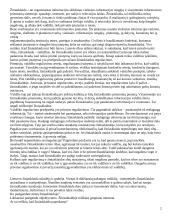 Lietuva Europos žiniasklaidoje bei žiniasklaidos reguliavimas 2 puslapis