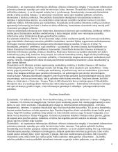 Lietuva Europos žiniasklaidoje bei žiniasklaidos reguliavimas 4 puslapis