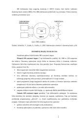 Duomenų bazių organizavimas ir kūrimas 3 puslapis