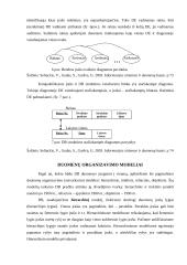 Duomenų bazių organizavimas ir kūrimas 6 puslapis