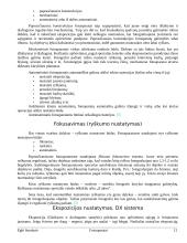 Fotoaparatai 12 puslapis