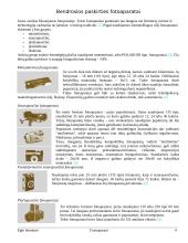 Fotoaparatai 4 puslapis