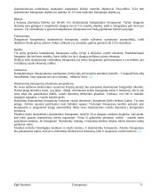 Fotoaparatai 9 puslapis