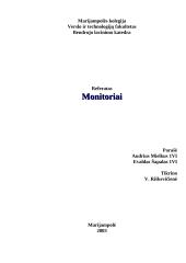 Visa informacija apie monitorius