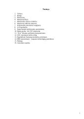 Visa informacija apie monitorius 2 puslapis