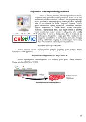 Visa informacija apie monitorius 15 puslapis