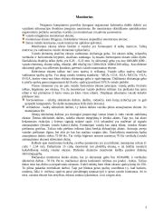 Visa informacija apie monitorius 4 puslapis