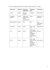 Visa informacija apie monitorius 5 puslapis