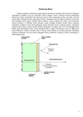 Visa informacija apie monitorius 6 puslapis
