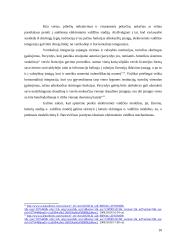 E-valdžios samprata ir modeliai 10 puslapis