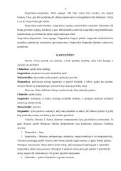 Sangviniko temperamento tipas 4 puslapis