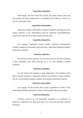 Temperamentas ir charakterio tipai 5 puslapis