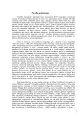 Fotografijos parodų nagrinėjimas 3 puslapis