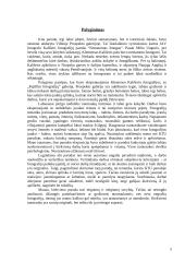 Fotografijos parodų nagrinėjimas 5 puslapis