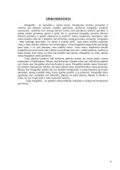 Fotografijos parodų nagrinėjimas 6 puslapis