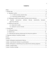 Polimerinių medžiagų paviršių profilogramų modeliavimas 5 puslapis