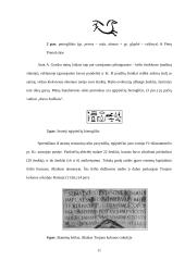 Teminių žemėlapių tekstinės apkrovos analizė ir vertinimas 11 puslapis