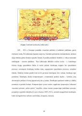 Teminių žemėlapių tekstinės apkrovos analizė ir vertinimas 18 puslapis