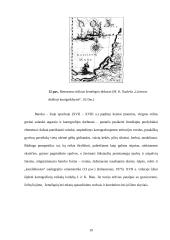 Teminių žemėlapių tekstinės apkrovos analizė ir vertinimas 19 puslapis