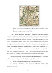 Teminių žemėlapių tekstinės apkrovos analizė ir vertinimas 20 puslapis