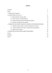 Teminių žemėlapių tekstinės apkrovos analizė ir vertinimas 3 puslapis