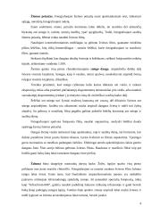 Fotografavimas lauke 3 puslapis