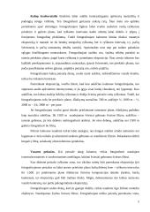 Fotografavimas lauke 4 puslapis