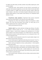 Fotografavimas lauke 5 puslapis