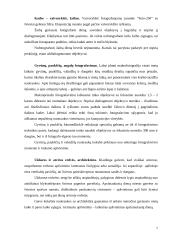 Fotografavimas lauke 6 puslapis