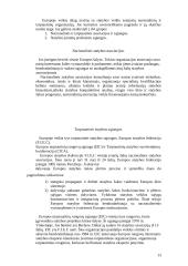 Statybos ekonomika 13 puslapis