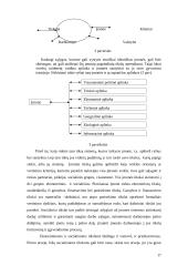 Statybos ekonomika 17 puslapis