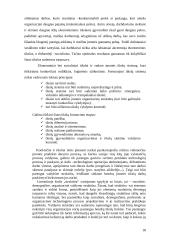 Statybos ekonomika 18 puslapis