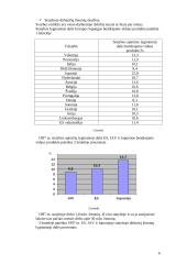 Statybos ekonomika 6 puslapis